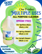 Load image into Gallery viewer, DOWN EAST ALL PURPOSE CLEANER